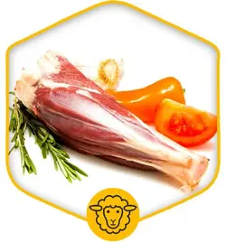 ماهیچه گوسفندی