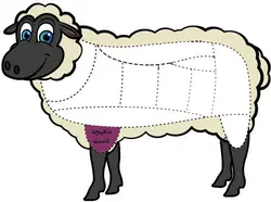 ماهیچه گوسفندی
