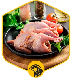 گوشت بلدرچین