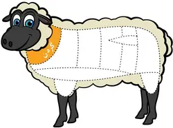 گردن گوسفندی پاک شده