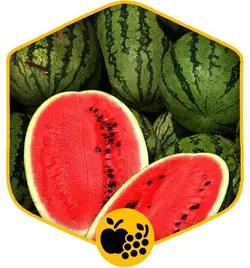 هندوانه