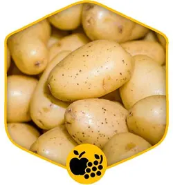 سیب زمینی