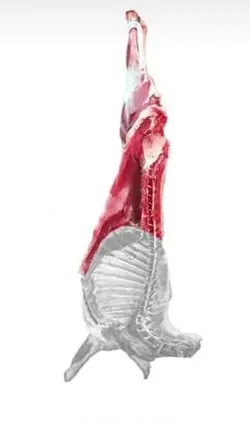 ران گوسفندی همراه باقلوه گاه(نیم شقه ران)