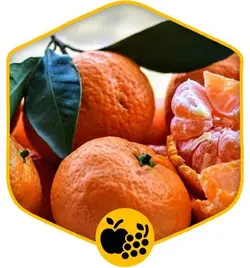 نارنگی