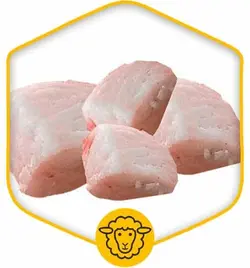 دنبه