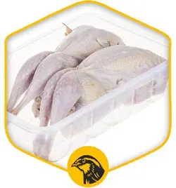 گوشت کبک ( منجمد )