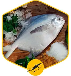 ماهی حلوا سیاه درسته