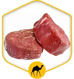 گوشت فیله شتر