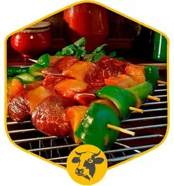 کباب بختیاری