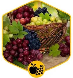 انگور بی دانه قرمز