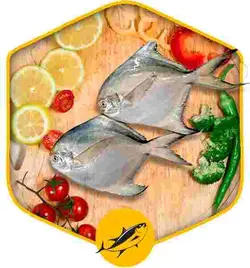 ماهی حلوا سفید درسته ( زبیده )