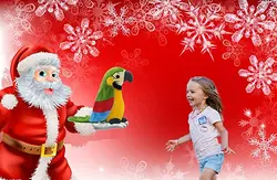 عروسک طوطی سخنگو مدل رقصنده