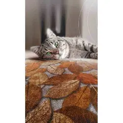 موکت ظریف مصور پاییز | طرح دار خانگی هتلی | دکوراسین