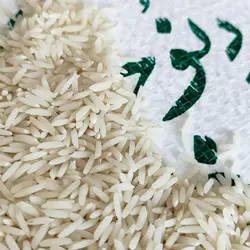 برنج وحشی