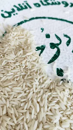 برنج وحشی