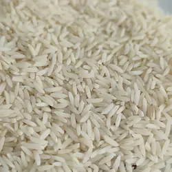 طارم هاشمی