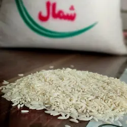 طارم هاشمی