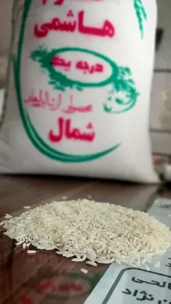 طارم هاشمی