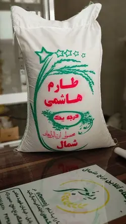 طارم هاشمی