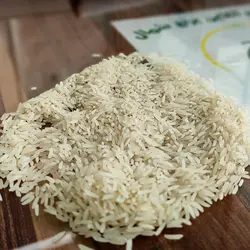 طارم هاشمی