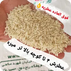 کشت دوم بینام