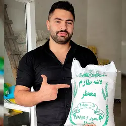 سرلاشه خالص طارم هاشمی