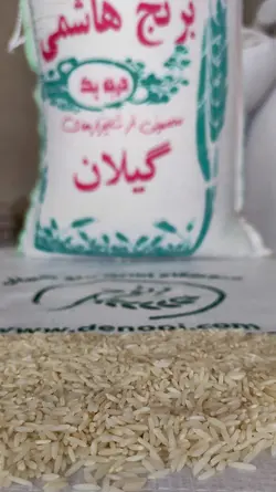 هاشمی اصلی گیلان
