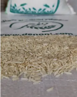هاشمی اصلی گیلان