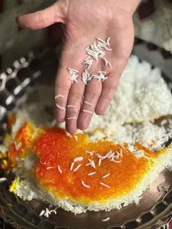 برنج کشت دوم مخصوص حاج علی