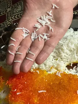 برنج کشت دوم مخصوص حاج علی
