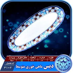 دیس ماهی خوری متوسط چینی میبد مروارید طرح شطرنجی — فروشگاه اینترنتی دیجی می