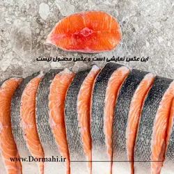 استیک ماهی راشگو | فروشگاه آنلاین دُرماهی