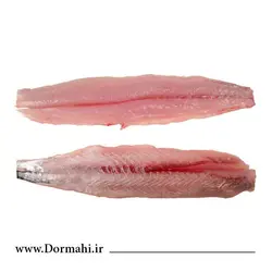 فیله شیر ماهی | فروشگاه آنلاین دُرماهی