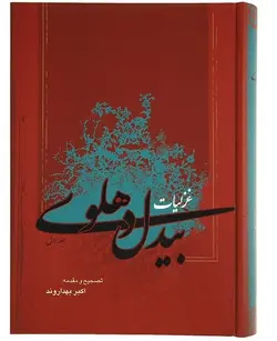 کتاب غزلیات بیدل دهلوی-دو جلدی با قاب-اکبر بهداروند/سایه گستر