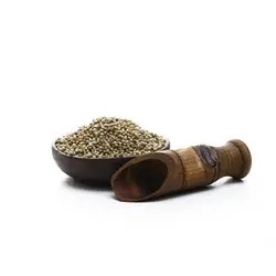 خرید تخم گشنیز دان