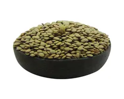 خرید عدس سبز