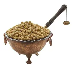 خرید نخودچی شور