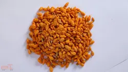 مغز تخمه روکشدار در طعم های متفاوت- کارتن ۱۰ کیلویی