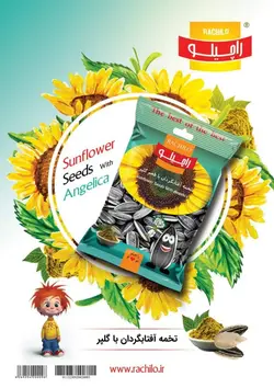 تخمه آفتابگردان گلپر ۱۰۰ گرمی راچیلو - کارتن ۲۰ عددی