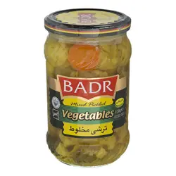 ترشی مخلوط ۶۳۰ گرمی بدر - کارتن ۱۲ تایی