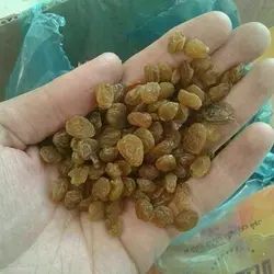 کشمش پلویی تیزاب شده