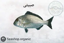 ماهی صبیتی - فروش بصورت کیلویی