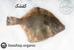 ماهی کفشک (کوشک) - فروش بصورت کیلویی و فله ای