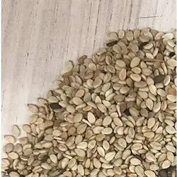 کنجد مخصوص روغن کشی فروش فله ای