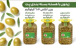 زیتون باهسته سوپر ویژه ۶٫۵ کیلویی دلفین