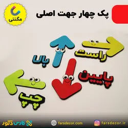 چهار جهت اصلی نمدی (مگنتی)