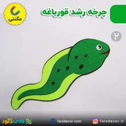 چرخه رشد قورباغه نمدی مگنتی