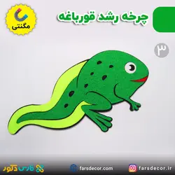 چرخه رشد قورباغه نمدی مگنتی