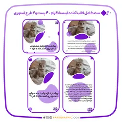 ست کامل قالب آماده اینستاگرام - ۴ پست و ۲ طرح استوری - فارس گرافیک