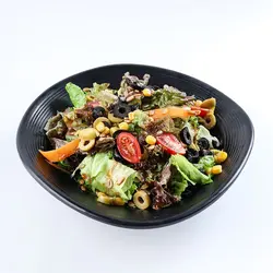 سالاد گاردن - 650.000 ریال -  - فیما مارکت